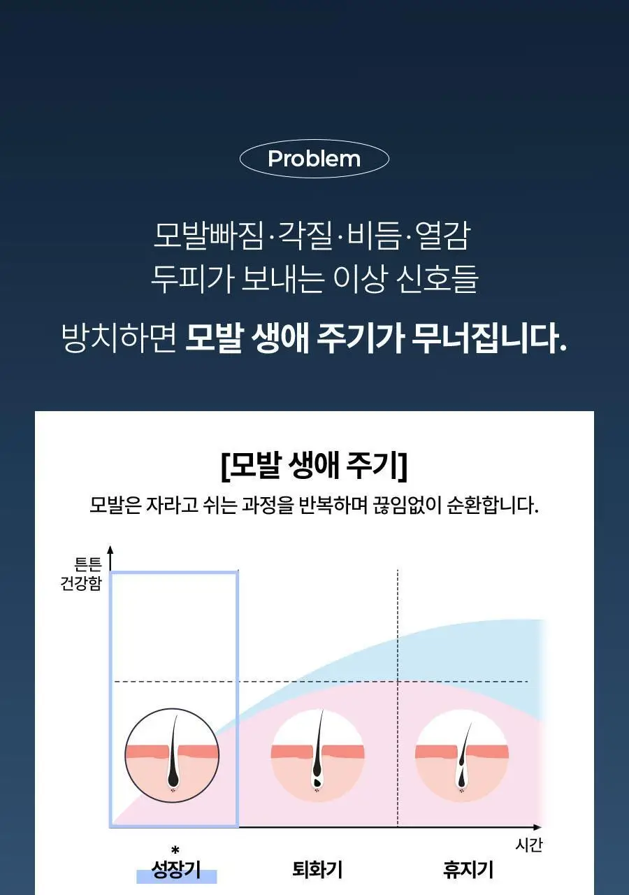 [2주완성탈모앰플] 에이페 스칼프부스팅 앰플 (대용량 두피앰플) 150ml 상세페이지 16